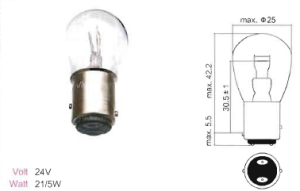 Bulbs